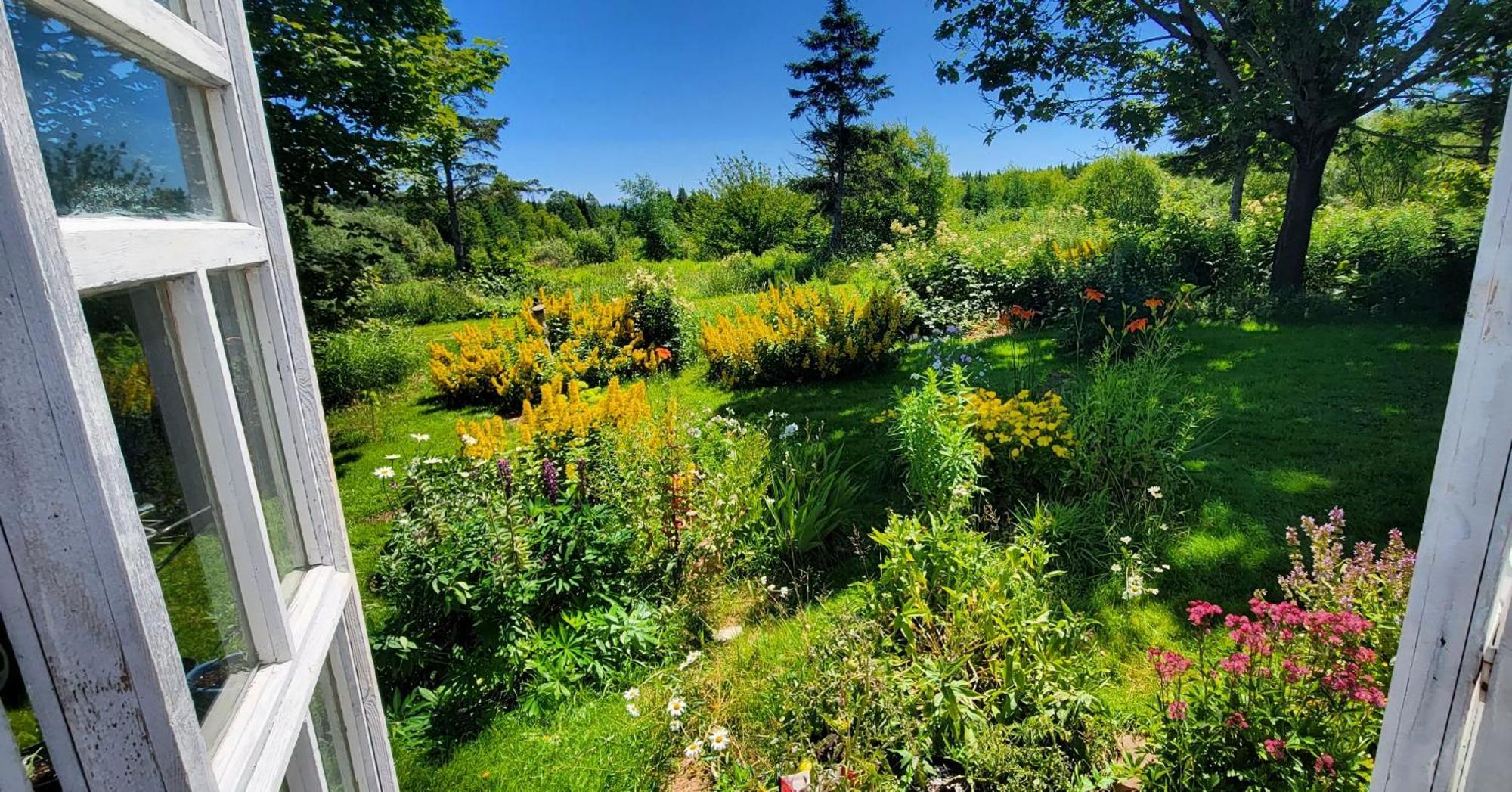 Gite Aux Jardins De L'Anse Perce Exterior foto