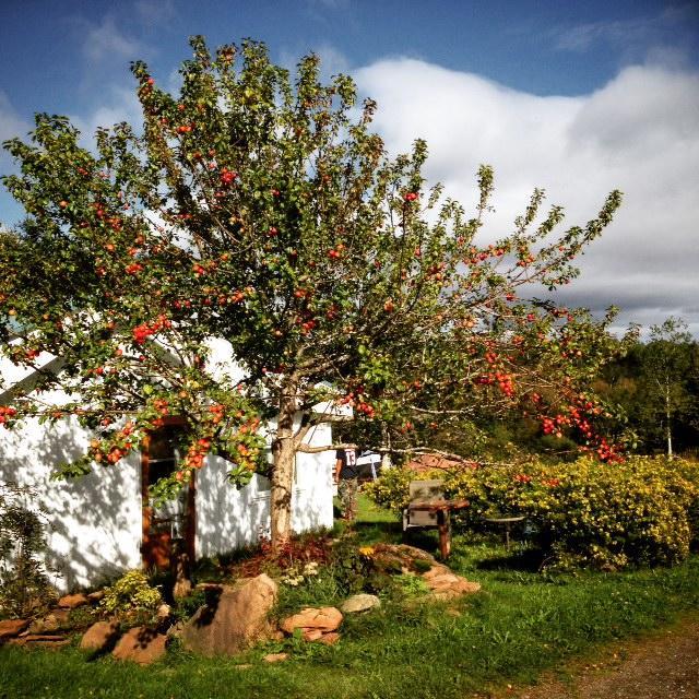 Gite Aux Jardins De L'Anse Perce Exterior foto