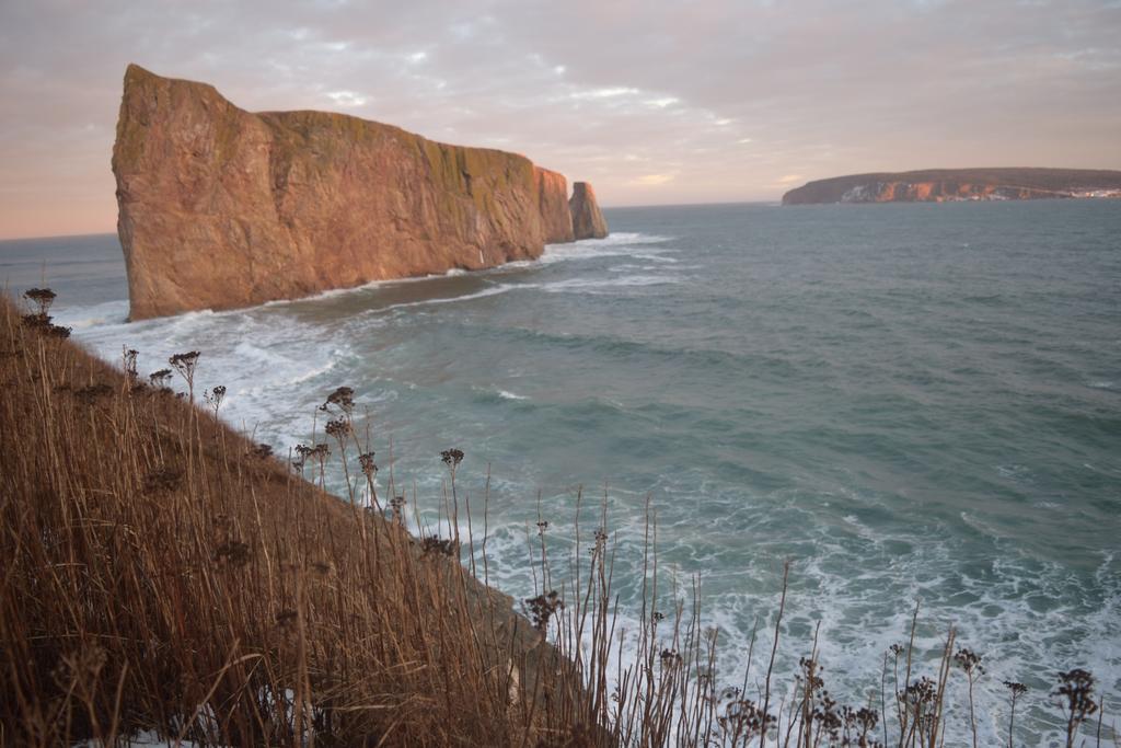 Gite Aux Jardins De L'Anse Perce Exterior foto