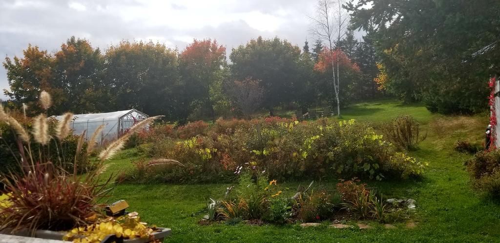 Gite Aux Jardins De L'Anse Perce Exterior foto